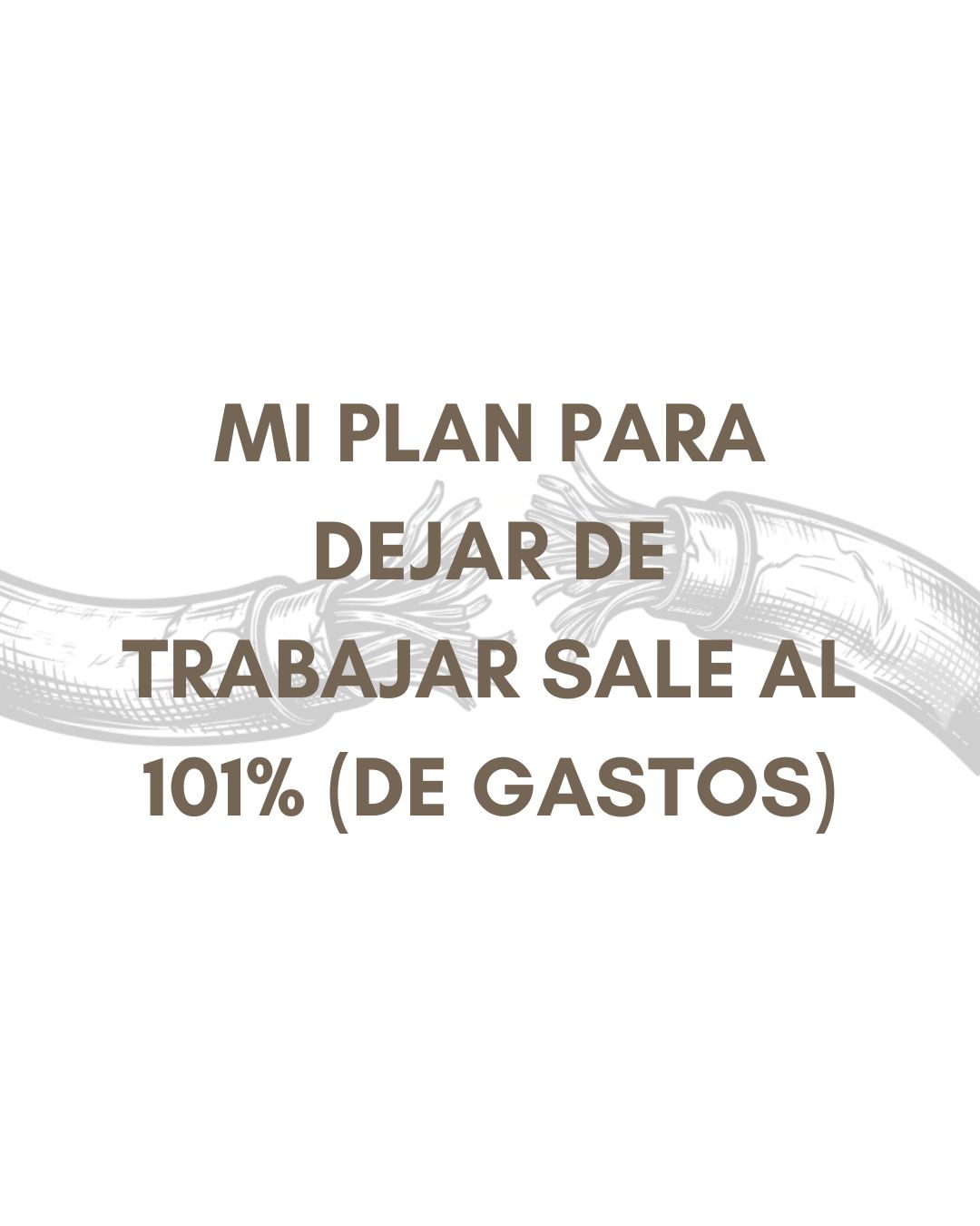 Mi plan para dejar de trabajar sale al 101% (de gastos)
